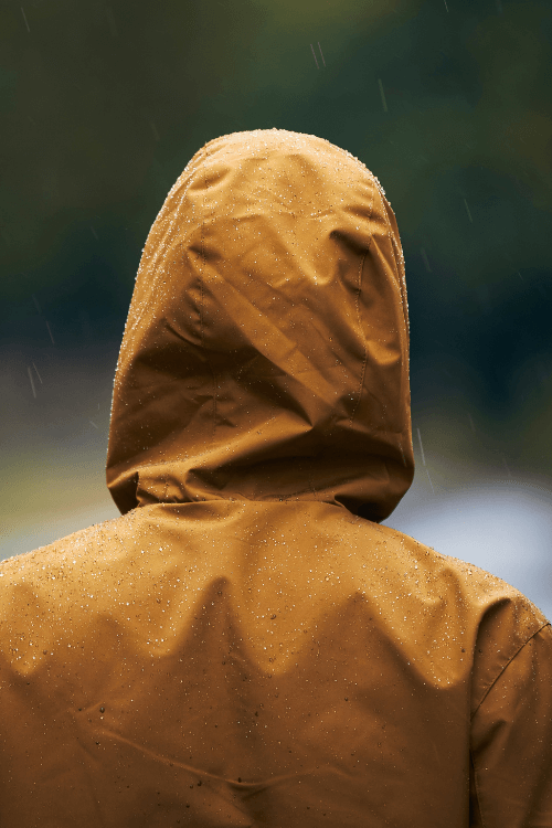 Softshell jacket